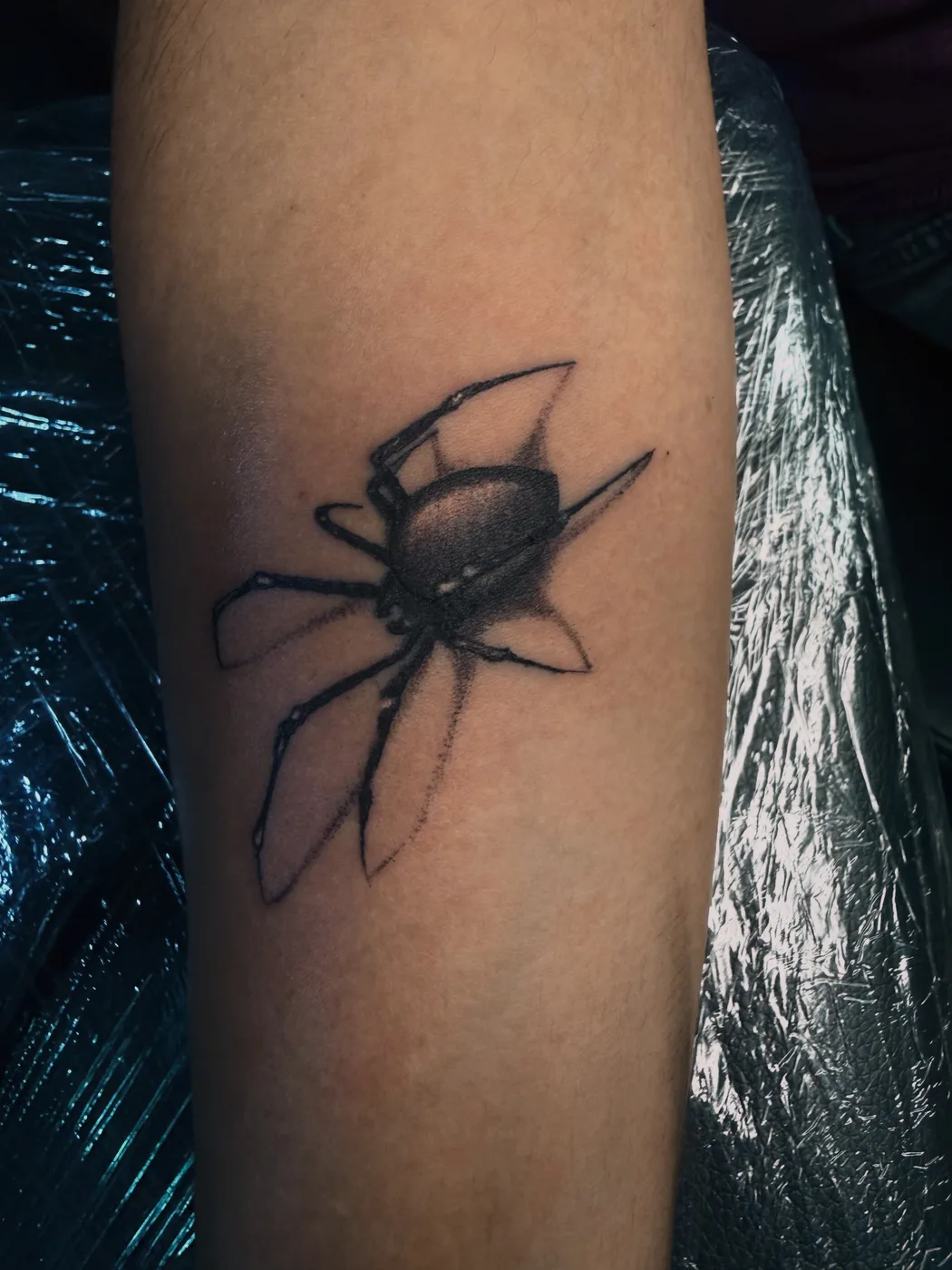 Black and gray spider tattoo on forearm