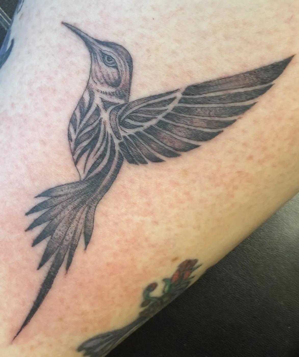 Black and gray hummingbird tattoo